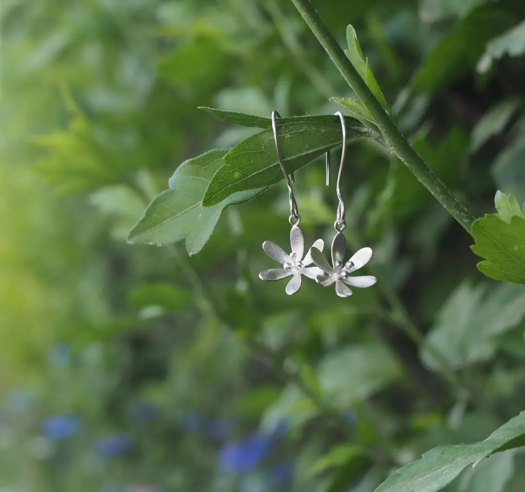 P5240620.webp