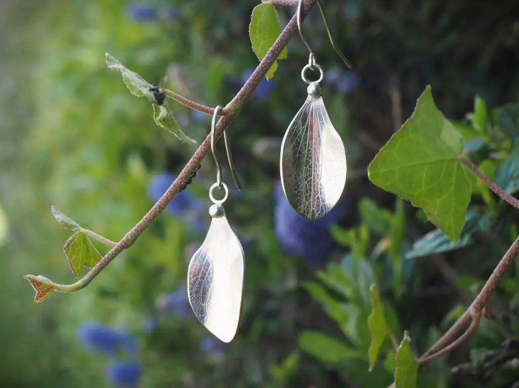 Boucles d'oreilles "Voluta"